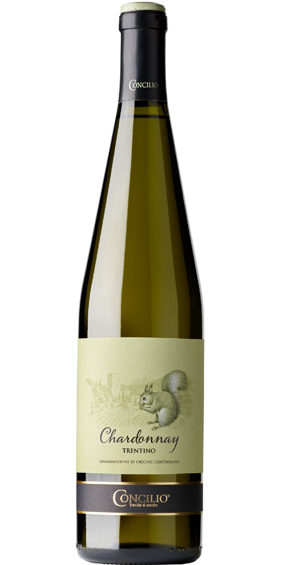 Concilio, Chardonnay, DOC Trentino