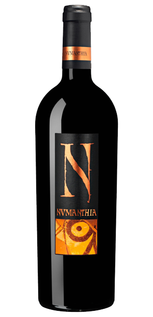 Bodegas Numanthia Termes, Numanthia, DO Toro