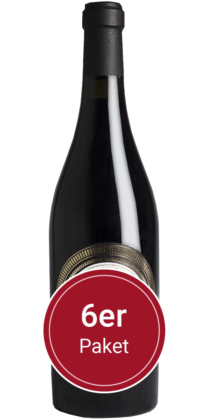 Sparpaket: 6 Flaschen Cantina Lorusso Michele, Magico Primitivo, IGT Puglia