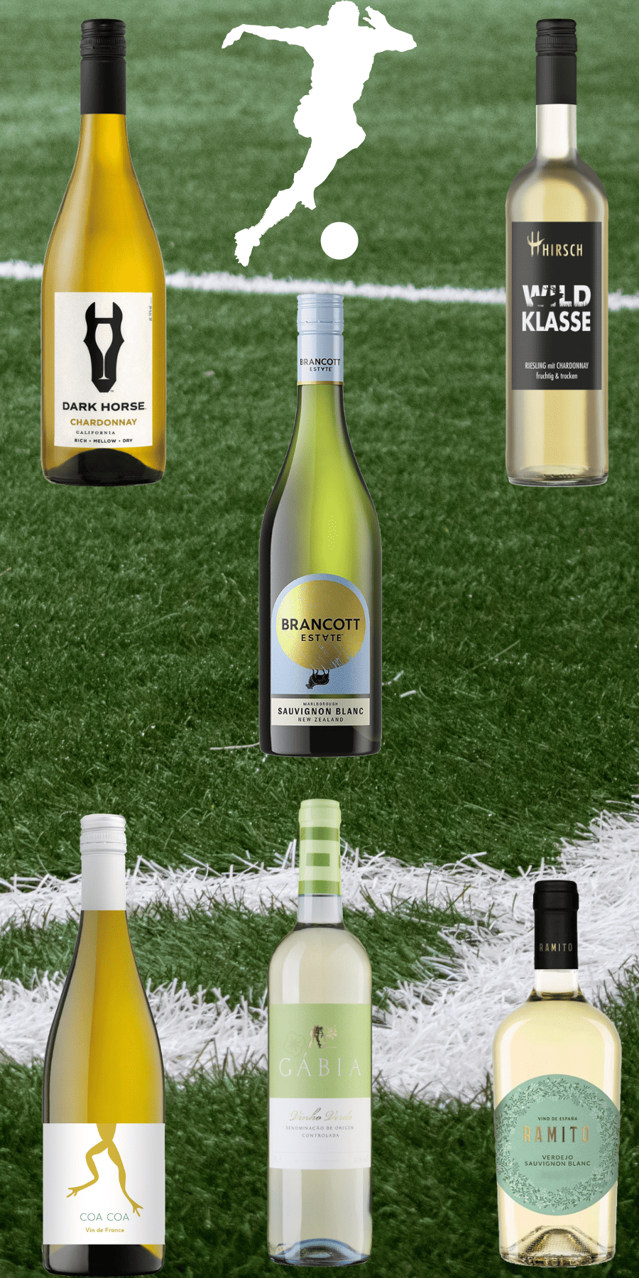 6er Probierpaket "Die Weißwein-Weltmeisterschaft"