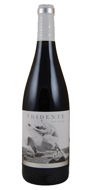 Bodegas Triton, Tridente Mencia, VDT Castilla y León