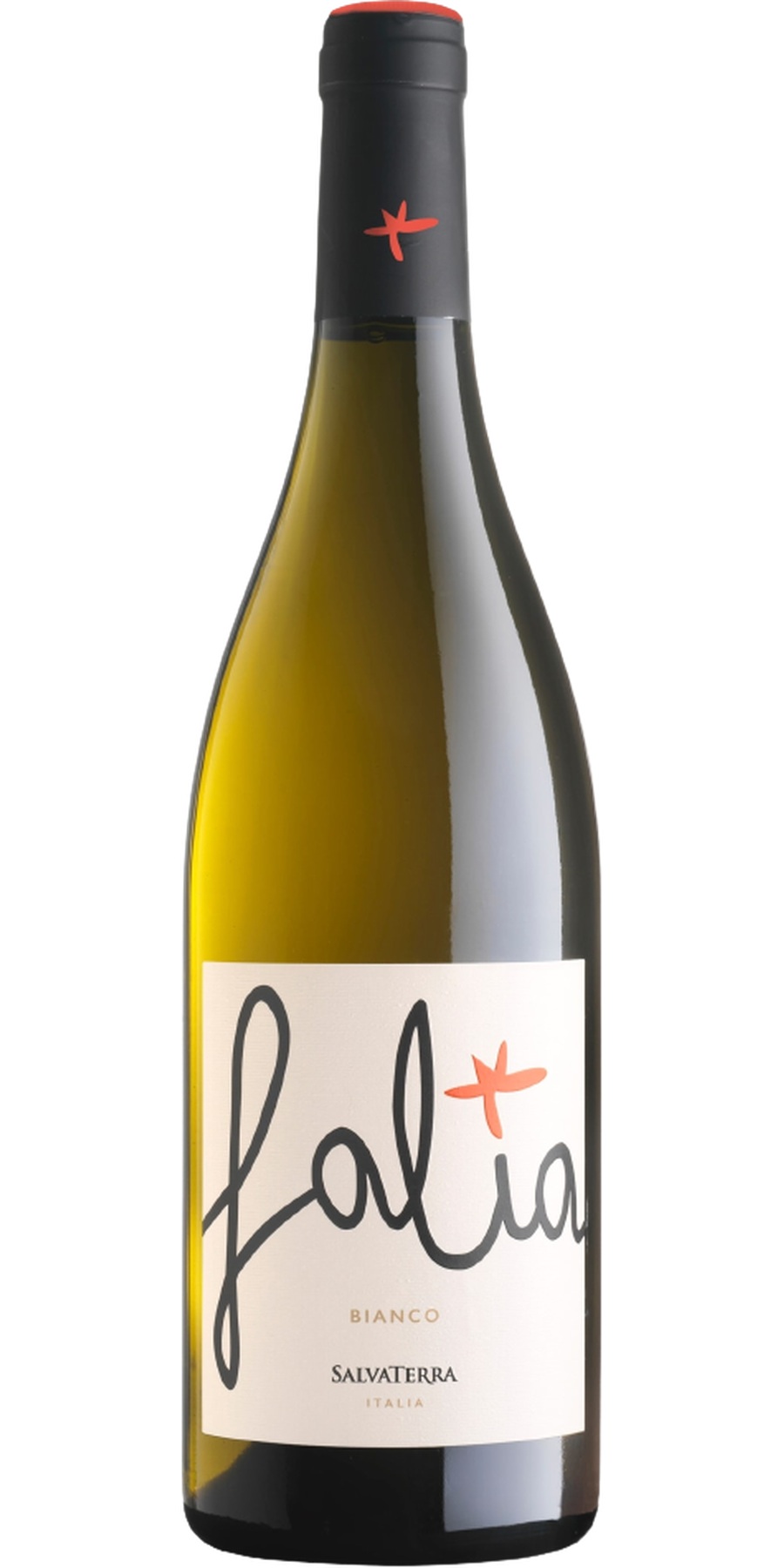Tenute SalvaTerra, Falia Vino Bianco, Veneto