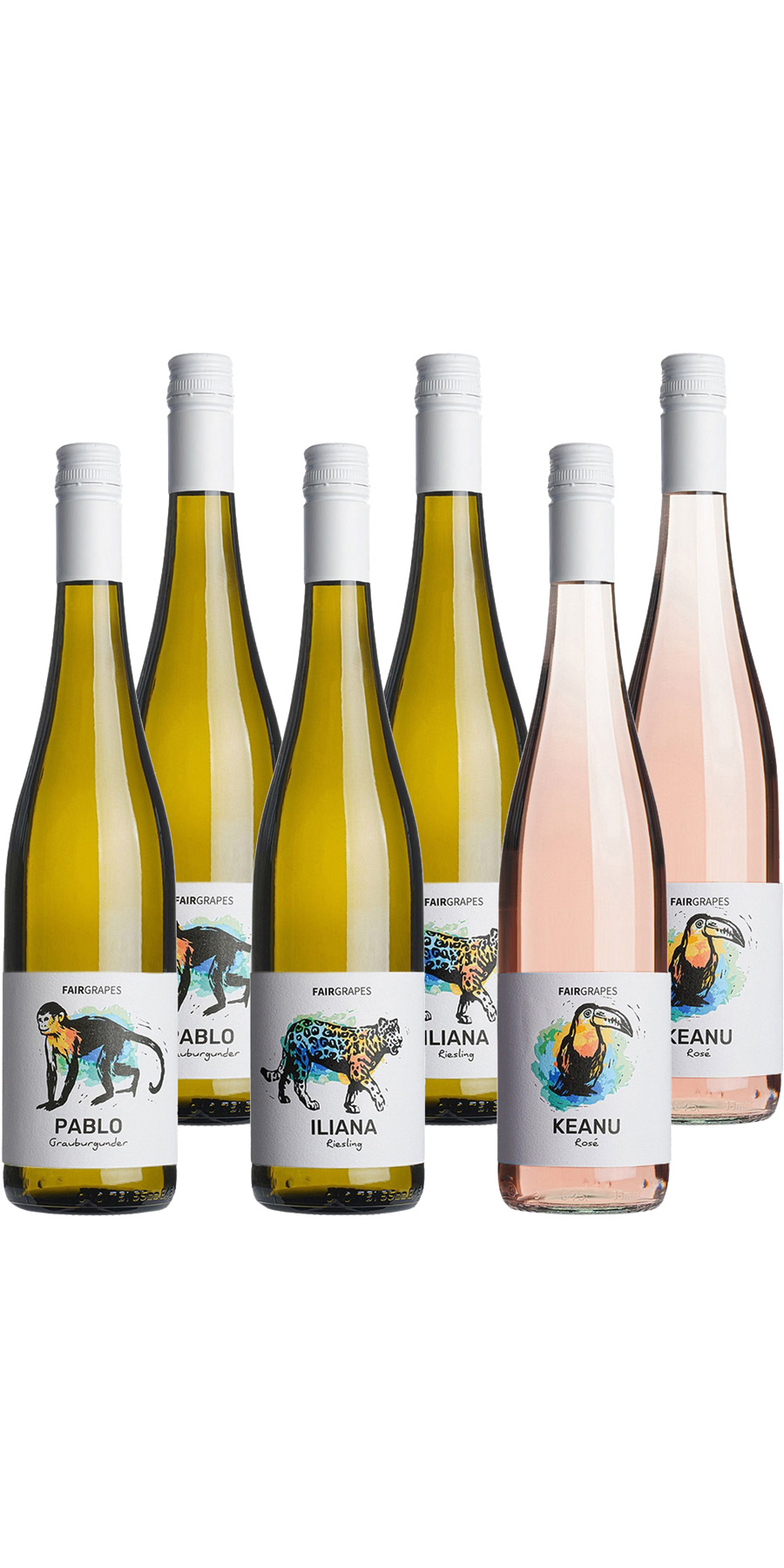 6 Flaschen FairGrapes im Spar-Probier-Pack