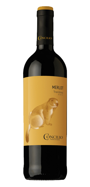 Concilio, Merlot, DOC Trentino