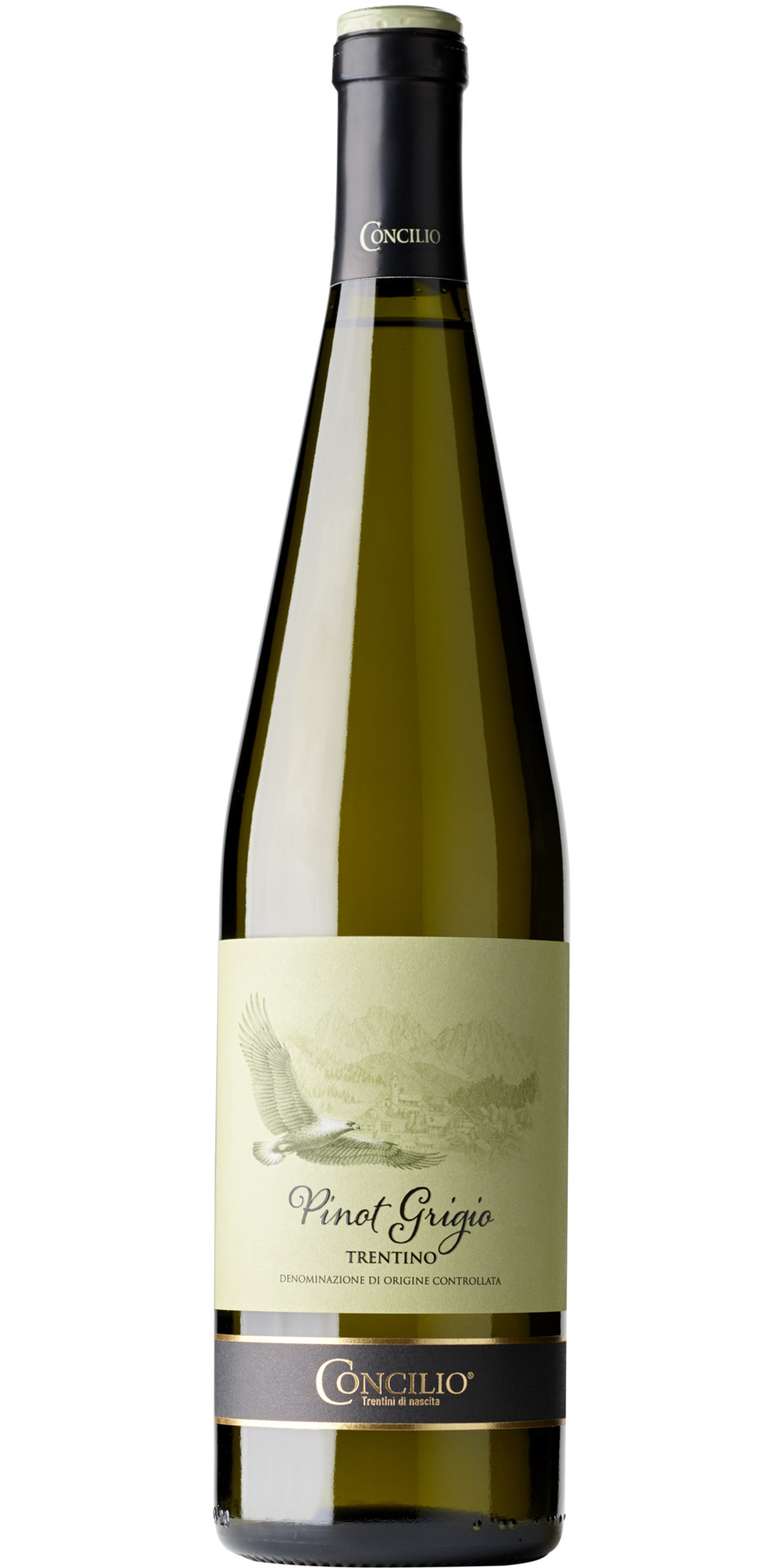Concilio, Pinot Grigio, DOC Trentino
