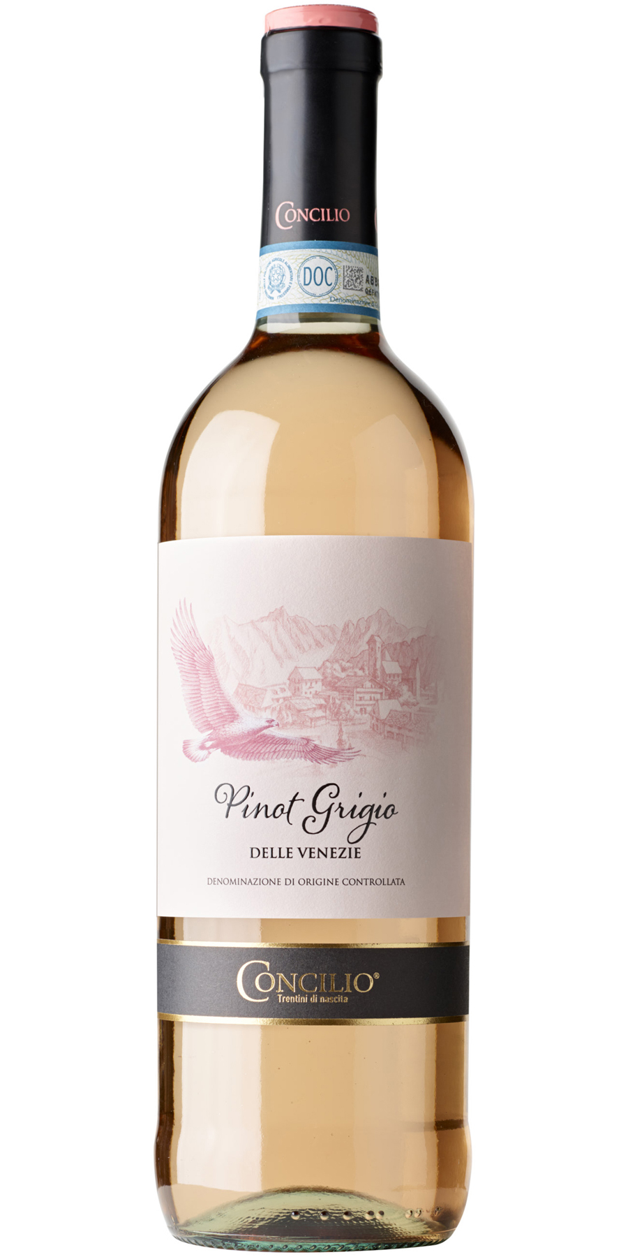 Concilio, Pinot Grigio Rosé, DOC delle Venezie