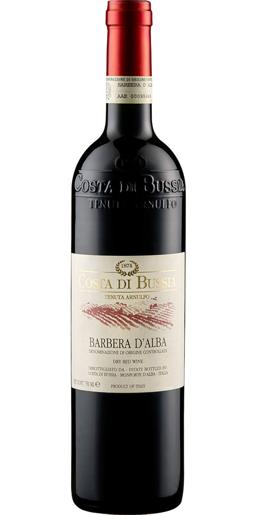 Costa di Bussia, Barbera d' Alba, DOC Piemont