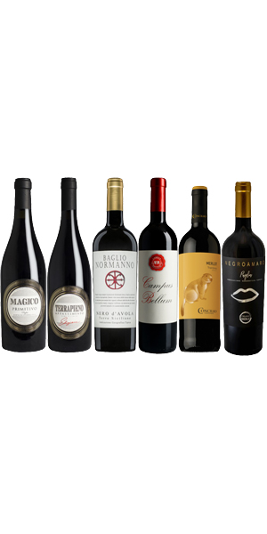 6er Probierpaket Rotwein-Bestseller Italien